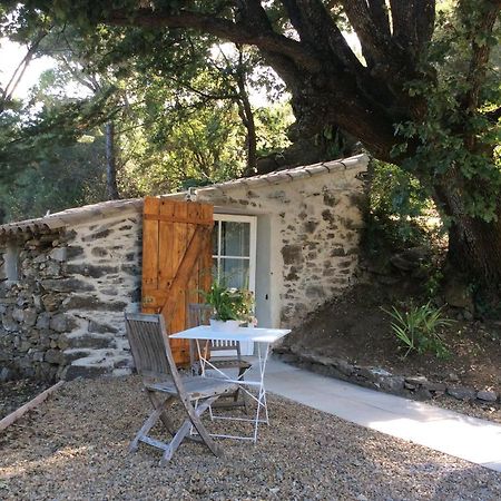 La Petite Bergerie, Les Hautes Roches Collobrières Kültér fotó