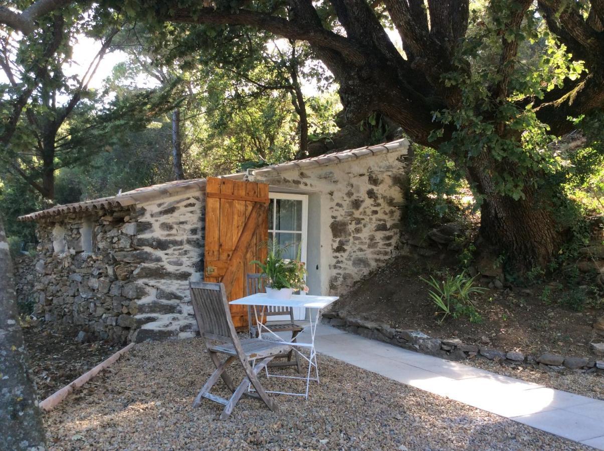 La Petite Bergerie, Les Hautes Roches Collobrières Kültér fotó