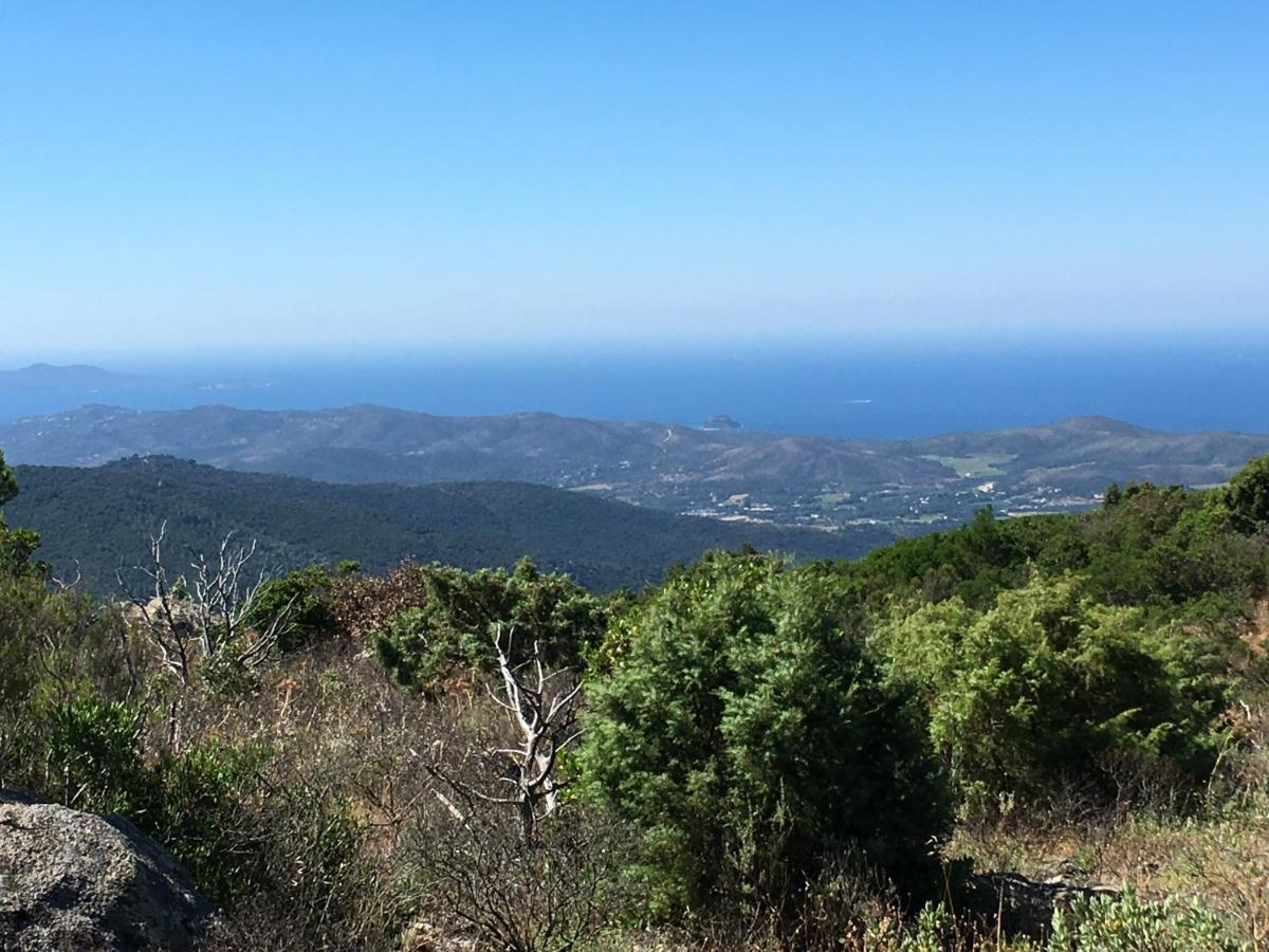 La Petite Bergerie, Les Hautes Roches Collobrières Kültér fotó
