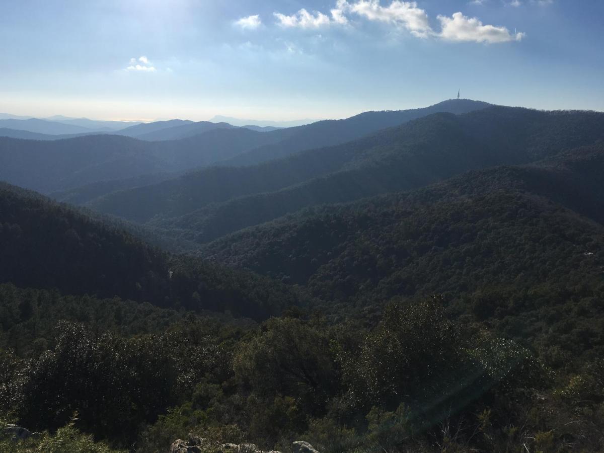 La Petite Bergerie, Les Hautes Roches Collobrières Kültér fotó